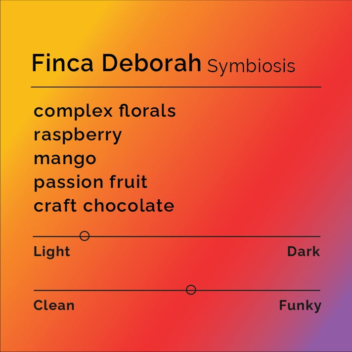 Black & White Roasters - Finca Deborah Symbiosis Anaerobic Natural Geisha | Panama