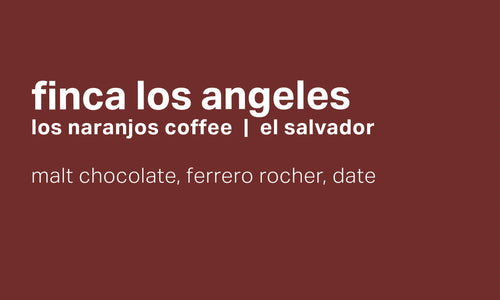 Moonwake - Finca Los Angeles - Anaerobic Natural Pacamara - El Salvador