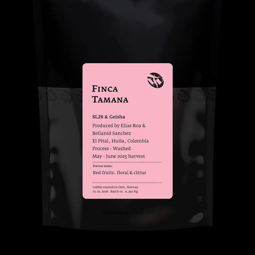 Tim Wendelboe - Finca Tamana SL28 & Geisha | Colombia