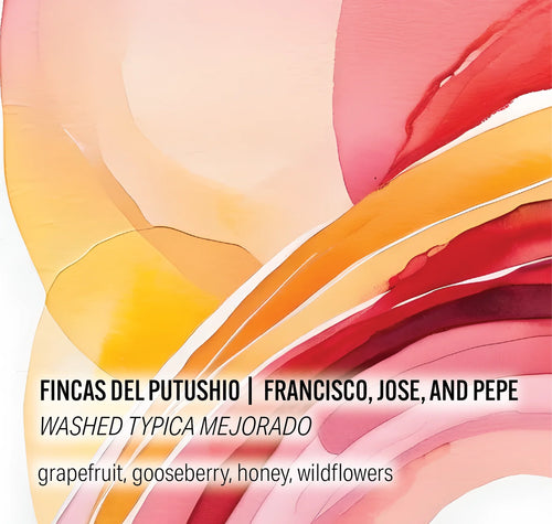 Moonwake - Fincas Del Putushio - Washed Typica Mejorado - Ecuador