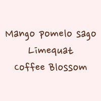 Hydrangea - Gesha, Washed - Finca Hartmann