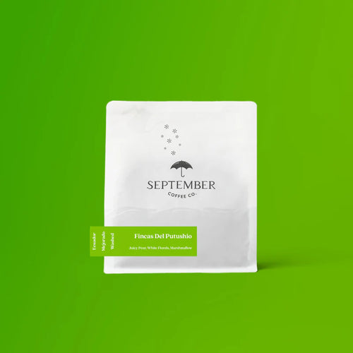 September - Fincas Del Putushio, Washed Mejorado 2nd Harvest | Ecuador