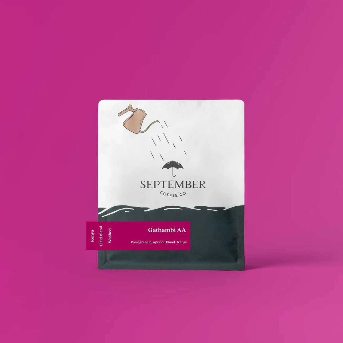September Coffee Co. - Gathambi AA Washed Field Blend | Kenya