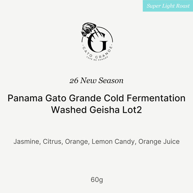 Big Sur - 26 New Season Gato Grande Cold Fermentation Washed Geisha Lot2 | Panama