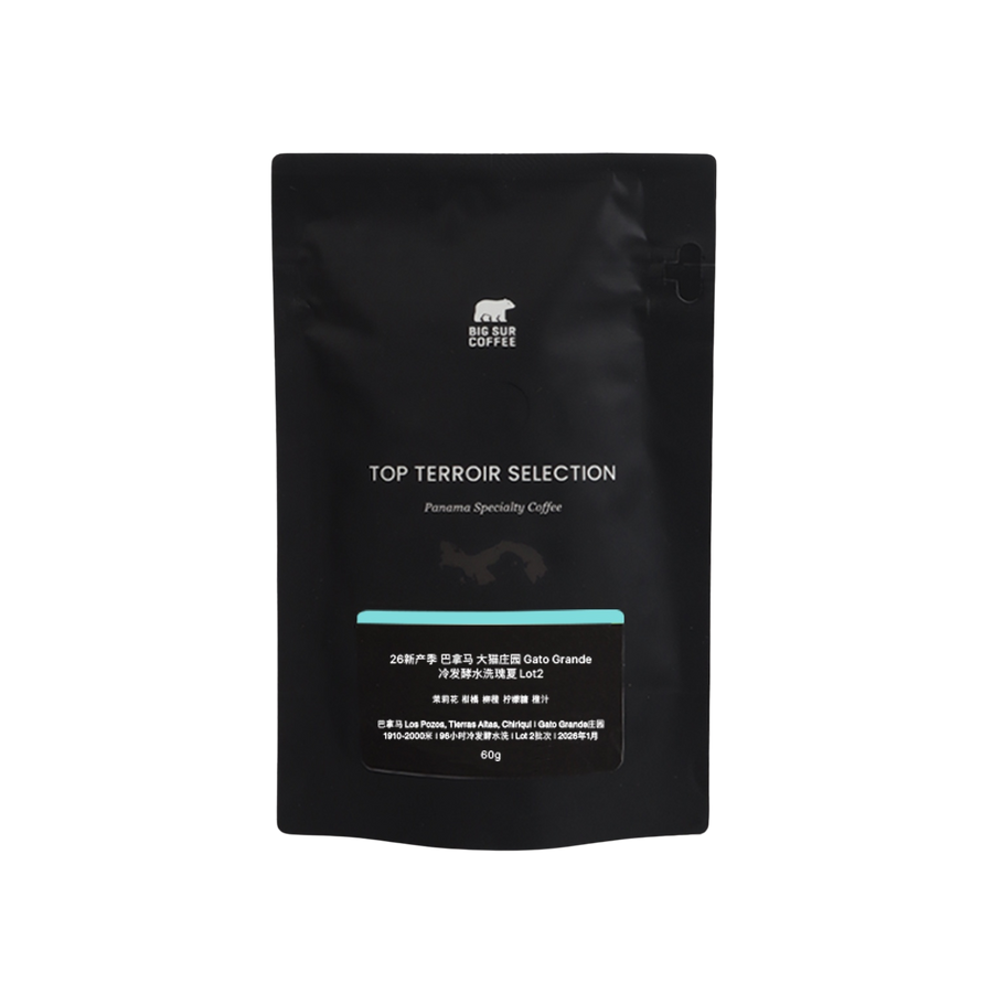 Big Sur - 26 New Season Gato Grande Cold Fermentation Washed Geisha Lot2 | Panama