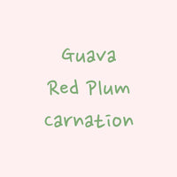 Hydrangea - Finca Inmaculada, Fellow Farms, Natural Gesha | Colombia - Sigma Coffee UK