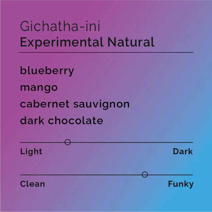 Black & White - Gichatha-ini - Experimental Natural | Kenya