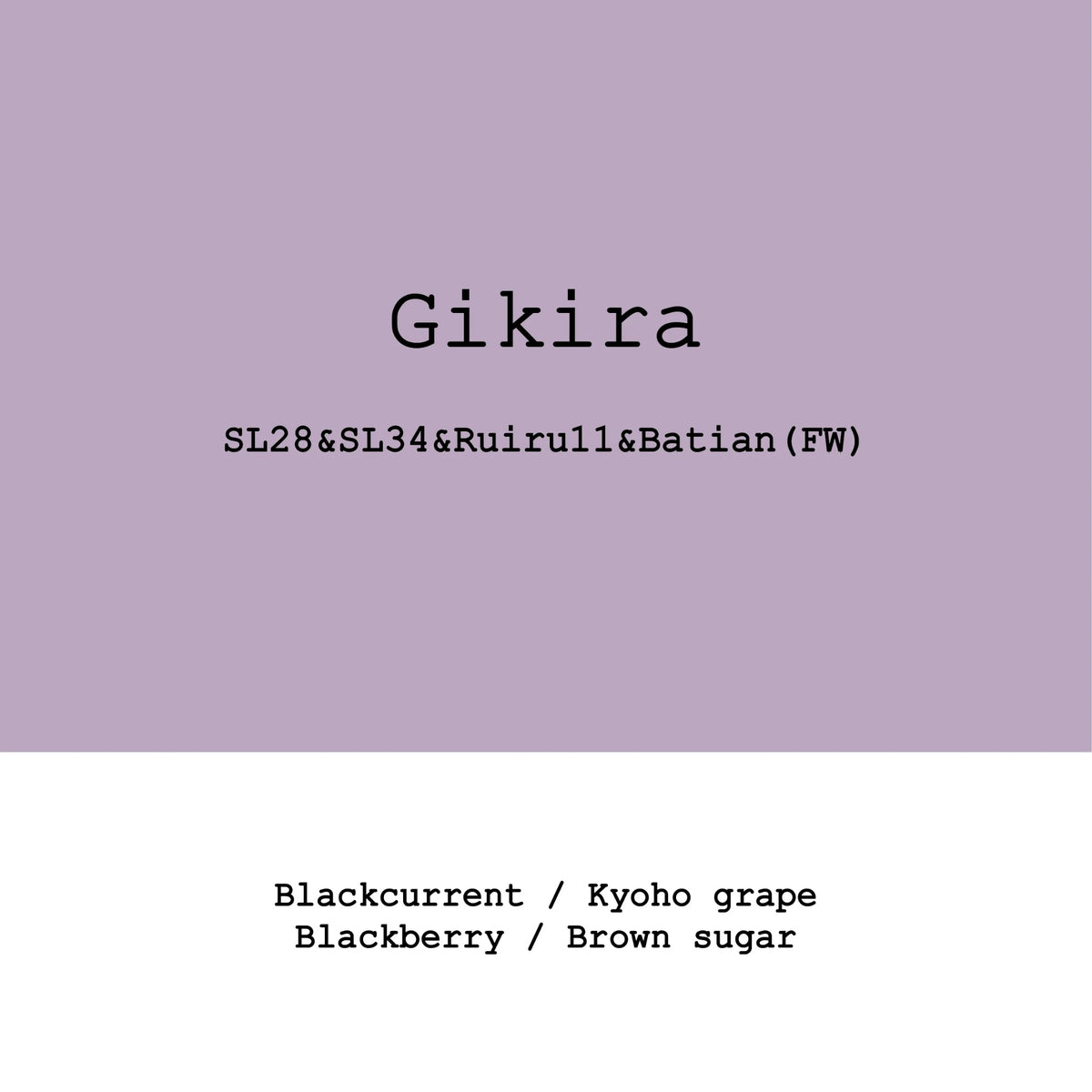Goût & Co - Gikira Estate SL28, SL34, Ruiru11, Batian Fully Washed | Kenya