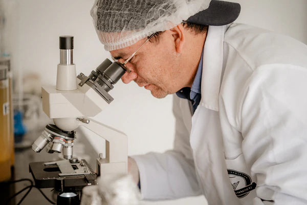 Moonwake - Granja Paraíso 92 - Thermal Shock Caturra