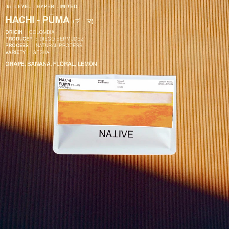 Native - Diego Bermudez | HACHI - Pūma  Natural Gesha  (プーマ)