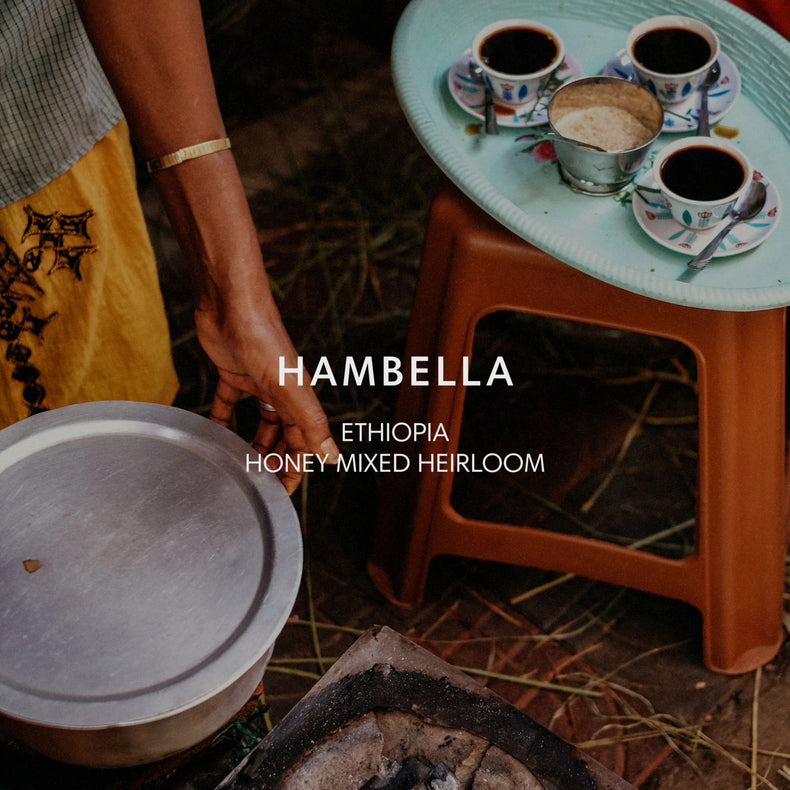 Mazelab - Faysel Abdosh Hambella Mixed Heirloom