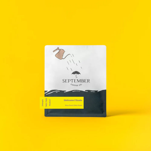 September - Habtamu Fikadu Washed | Ethiopia