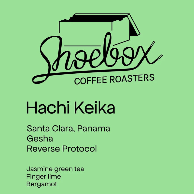 Shoebox Coffee Roasters - Hachi Keika Gesha Reverse Protocol | Panama