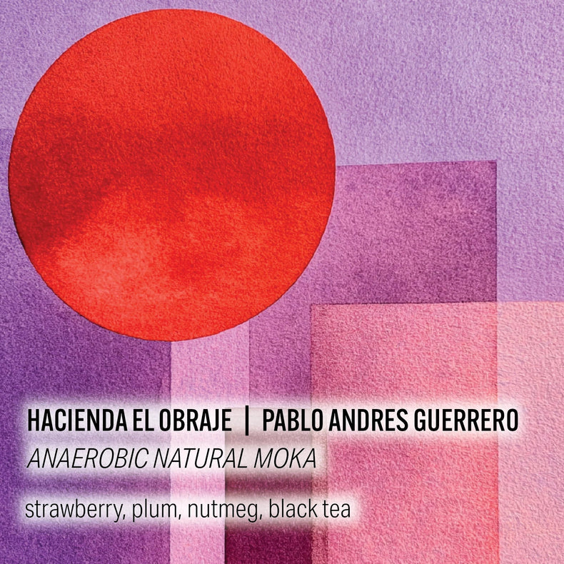 Moonwake Coffee Roasters - Hacienda El Obraje - Pablo Andrés Guerrero - Anaerobic Natural Moka | Colombia