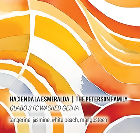 Moonwake Coffee Roasters - Hacienda La Esmeralda Peterson Family - Guabo 3 FC Washed Gesha | Panama - Sigma Coffee UK