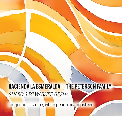 Moonwake Coffee Roasters - Hacienda La Esmeralda Peterson Family - Guabo 3 FC Washed Gesha | Panama - Sigma Coffee UK