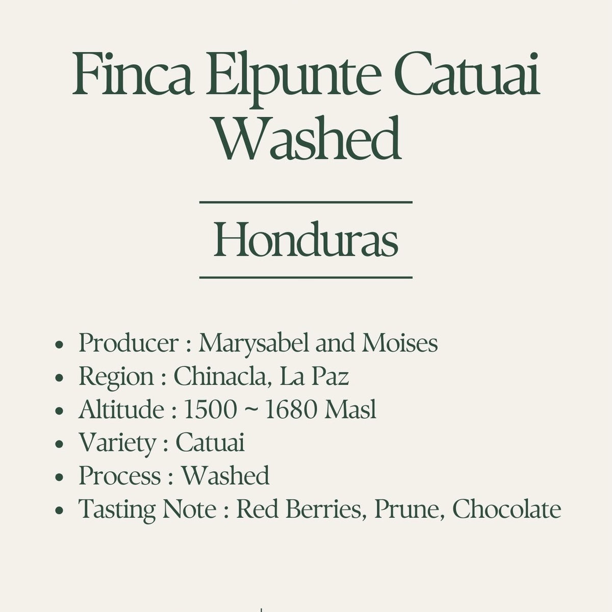 Klover - Finca El Puente Washed Catuai | Honduras