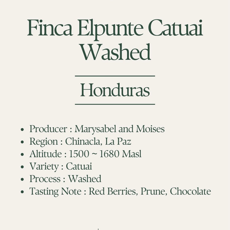 Klover - Finca El Puente Washed Catuai | Honduras
