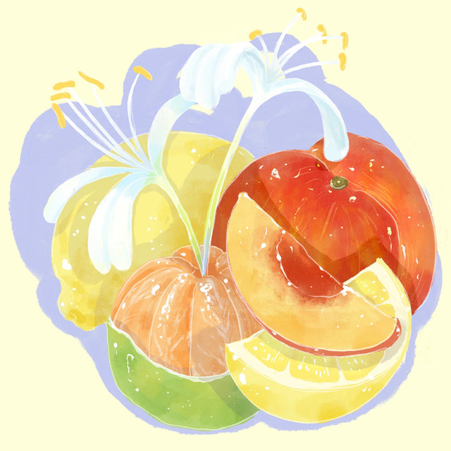 Hydrangea - Habtamu Fekadu Aga, Chelbesa - Washed Landrace | Ethiopia - Sigma Coffee UK