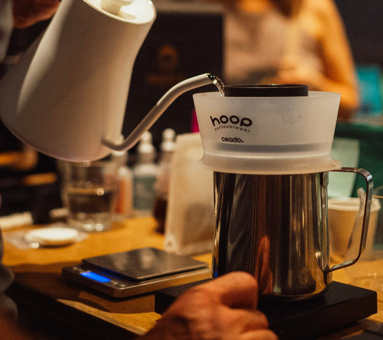 Ceado Hoop Brewer - Sigma Coffee UK