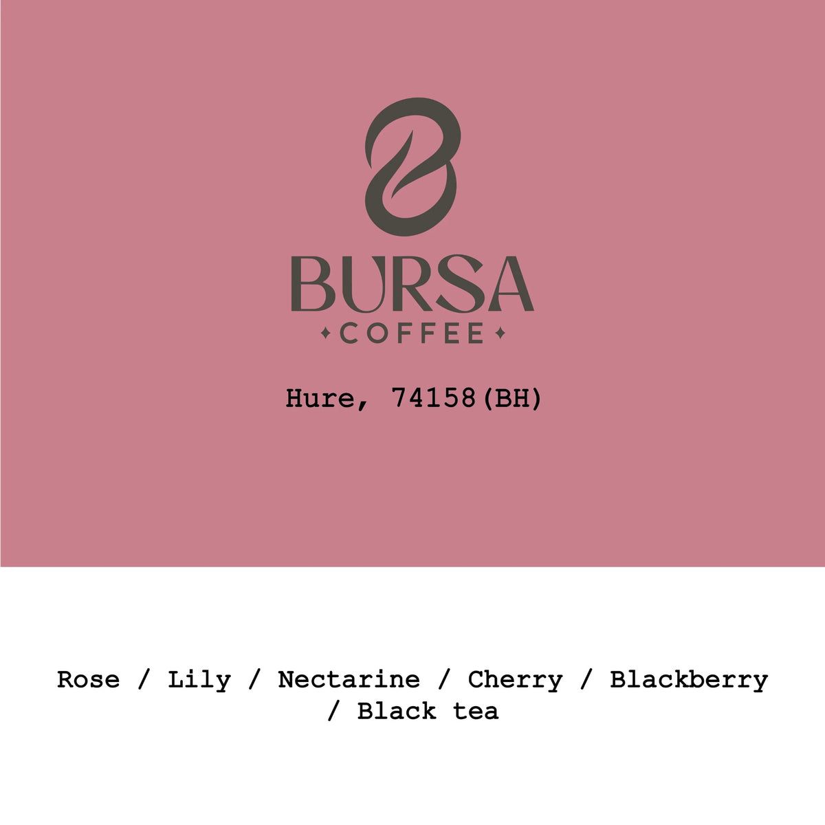 Goût & Co - Hure 74158 Black Honey | Ethiopia