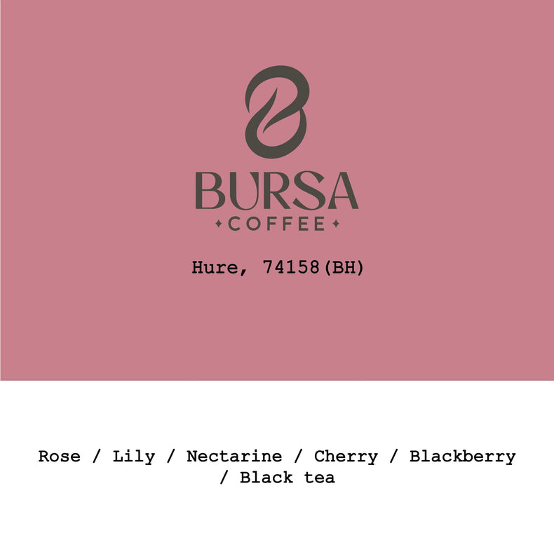 Goût & Co - Hure 74158 Black Honey | Ethiopia