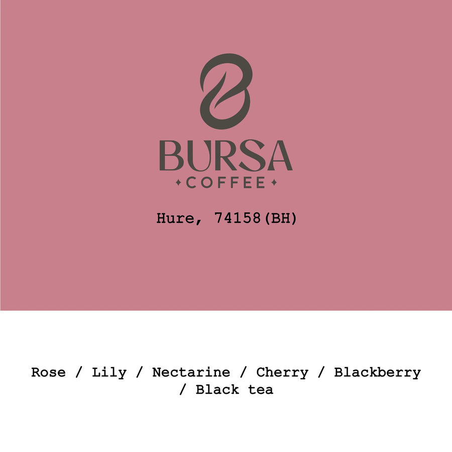Goût & Co - Hure 74158 Black Honey | Ethiopia