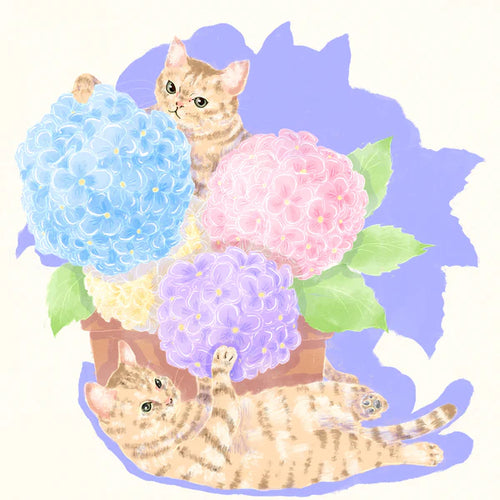 Hydrangea - Gesha Washed 904 NWS Finca Nuguo