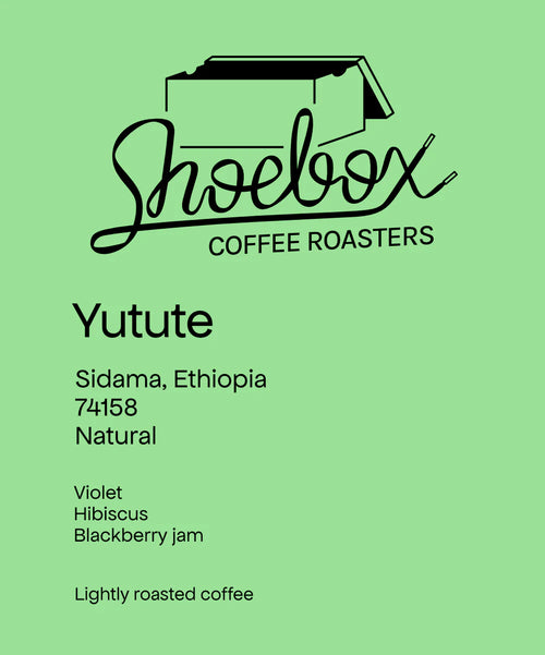 Shoebox - Ethiopia Bekele Yutute Natural | Ethiopia