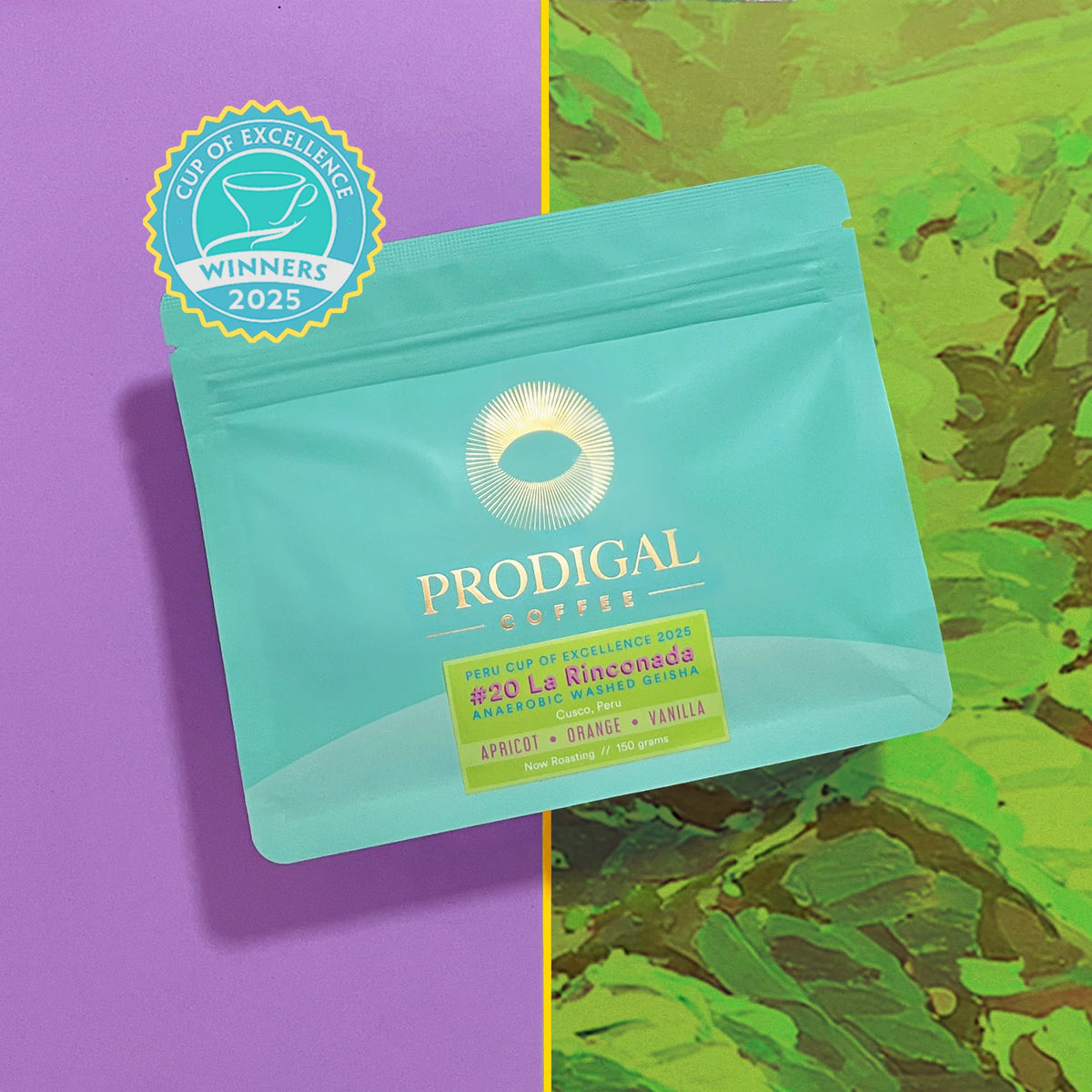 Prodigal - Cup of Excellence 2025 - Peru #20 La Rinconada - Sigma Coffee UK