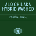 Datura | Alo Chilaka 74158 Hybrid Washed (200g) - Sigma Coffee UK