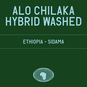 Datura | Alo Chilaka 74158 Hybrid Washed (200g) - Sigma Coffee UK