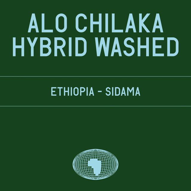 Datura | Alo Chilaka 74158 Hybrid Washed (200g) - Sigma Coffee UK