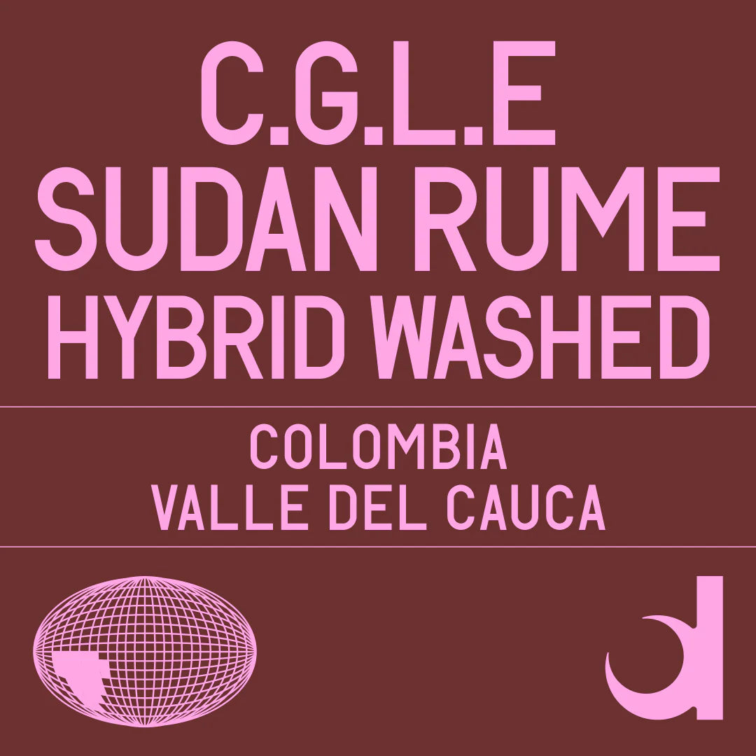 Datura | cGLE Sudan Rume Hybrid Washed (100g)