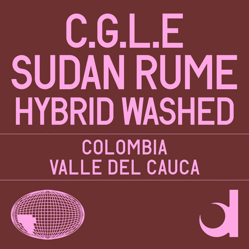 Datura | cGLE Sudan Rume Hybrid Washed (100g)