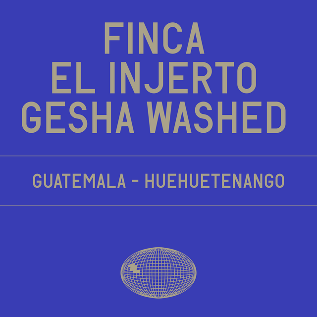 Datura | Finca El Injerto Gesha Washed (100g) - Sigma Coffee UK