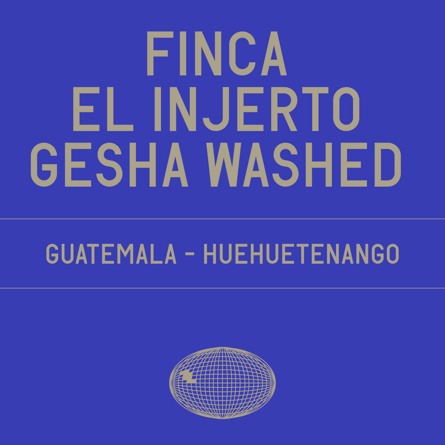 Datura | Finca El Injerto Gesha Washed (100g) - Sigma Coffee UK