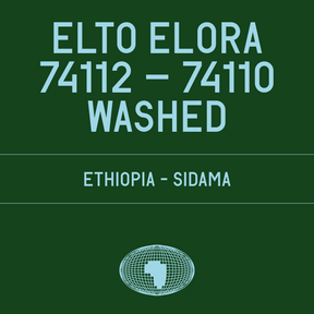 Datura | Elto Elora Washed 74112–74110 (200g) - Sigma Coffee UK