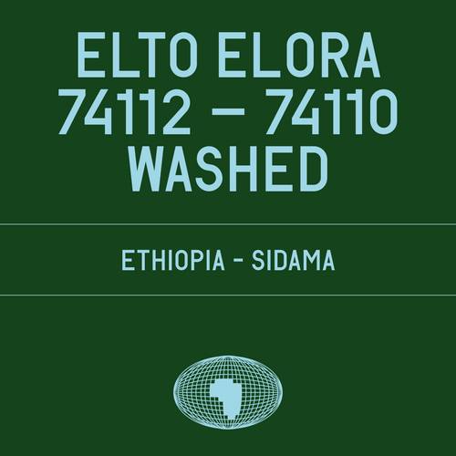 Datura | Elto Elora Washed 74112–74110 (200g) - Sigma Coffee UK