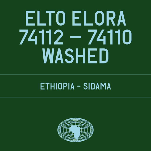 Datura | Elto Elora Washed 74112–74110 (200g) - Sigma Coffee UK