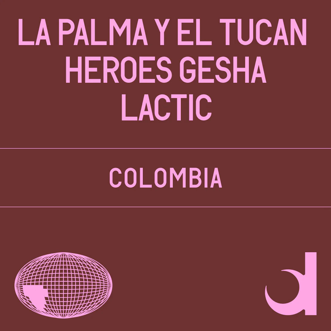 Datura | La Palma Y El Tucan Heroes Gesha Lactic (100g)