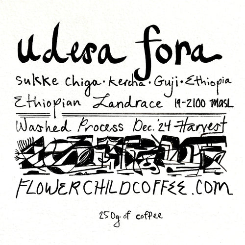 Flower Child - Udesa Fora