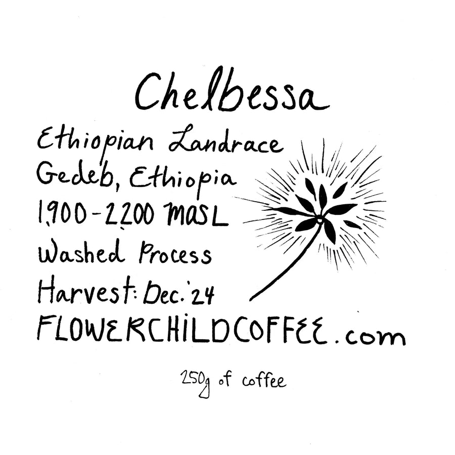Flower Child - Chelbessa - Sigma Coffee UK