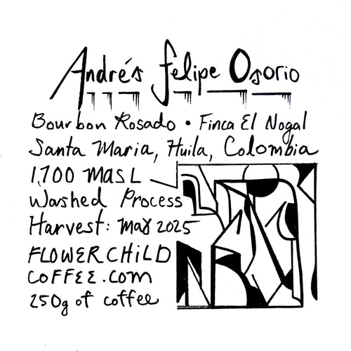 Flower Child - Andrés Felipe Osorio Washed