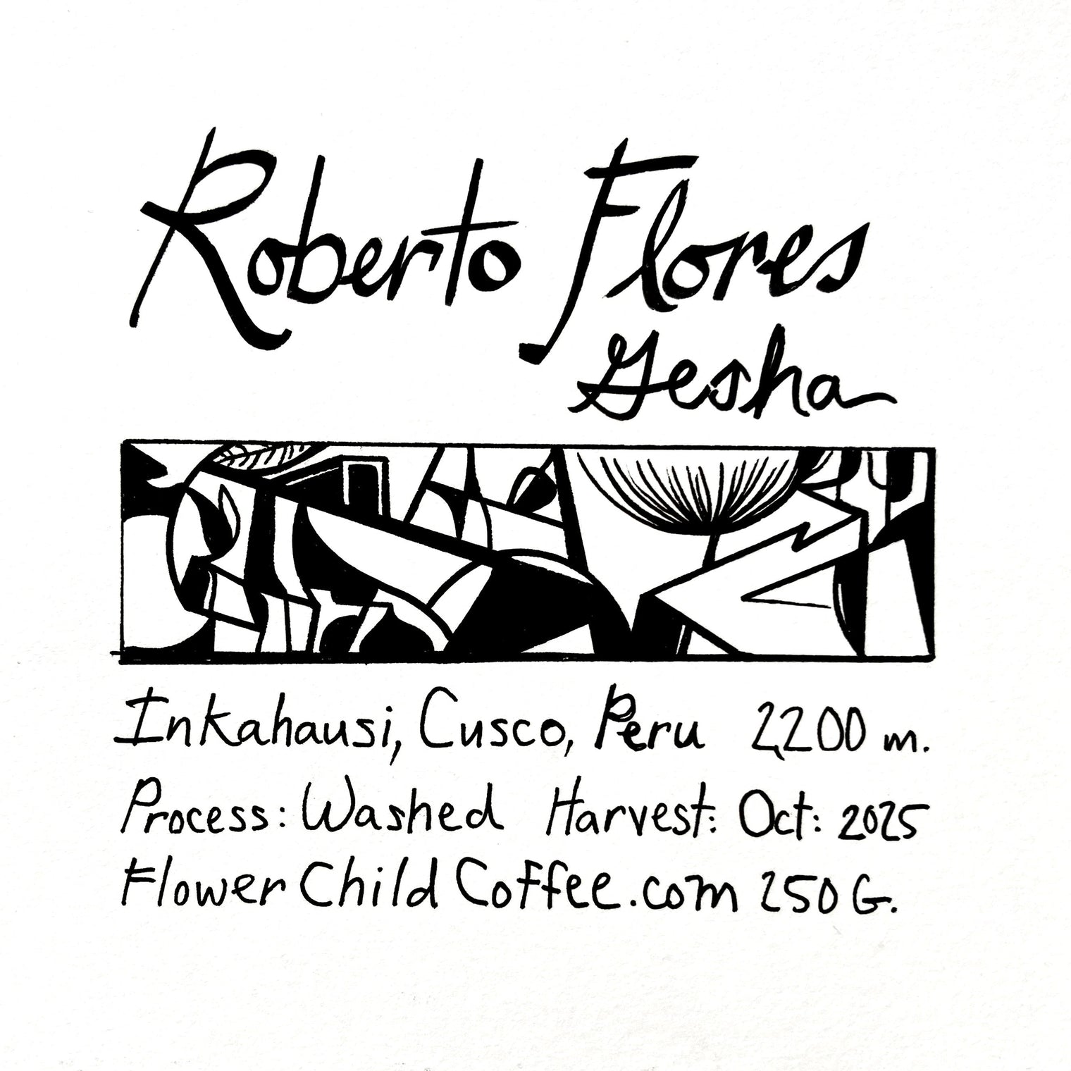 Flower Child - Roberto Flores - Washed Gesha | Peru - Sigma Coffee UK