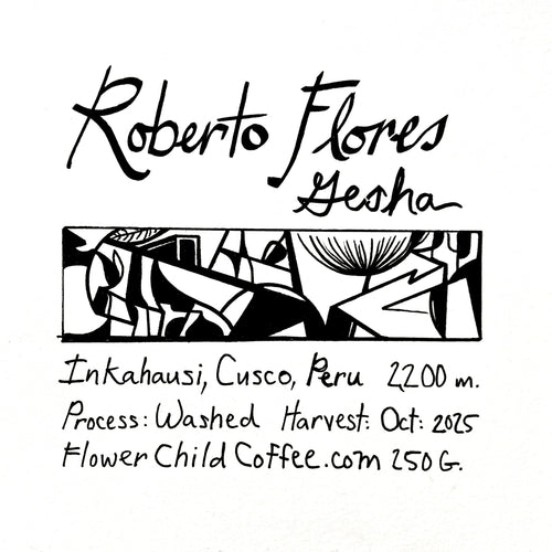 Flower Child - Roberto Flores - La Rinconada Washed Gesha | Peru - Sigma Coffee UK