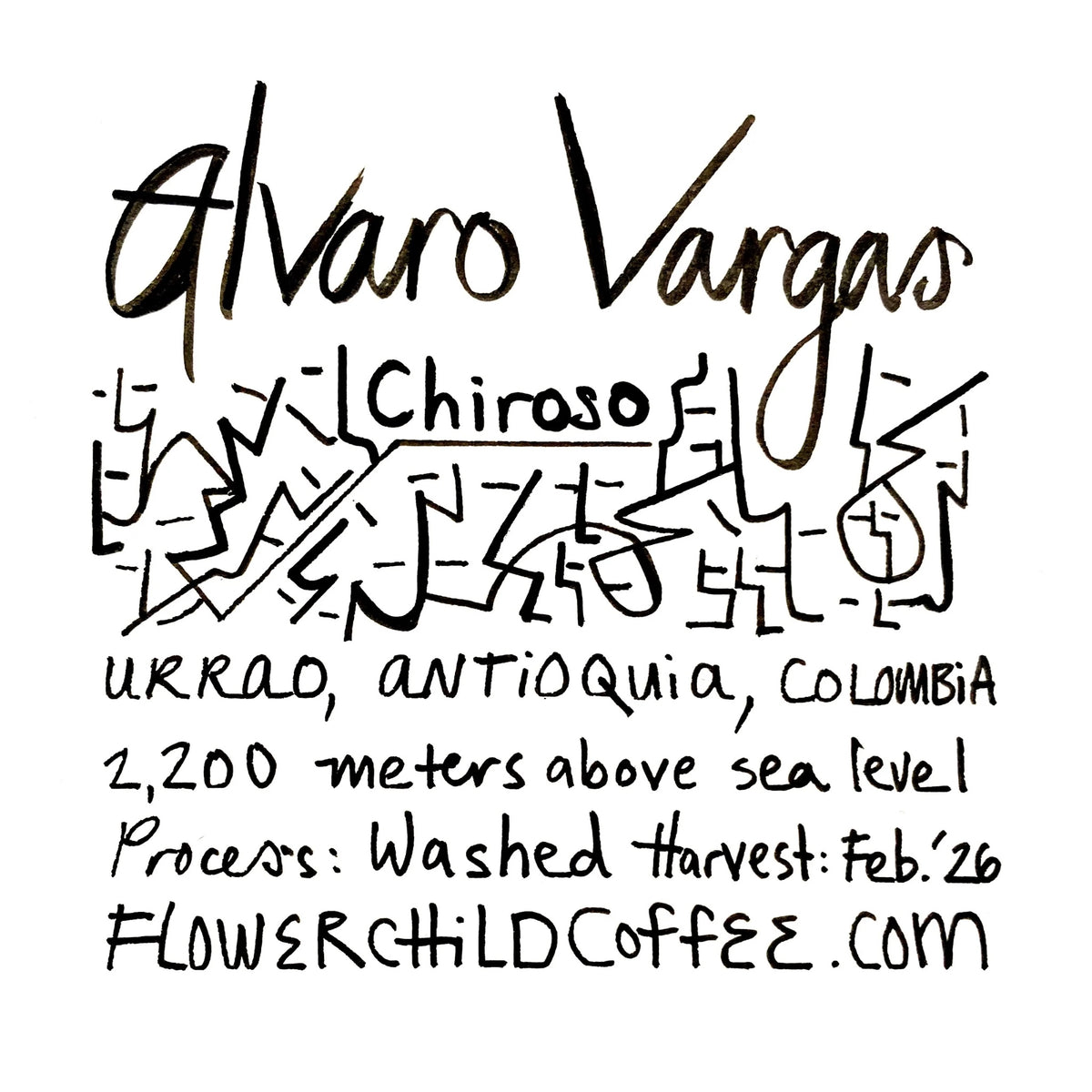 Flower Child Coffee - Alvaro Vargas - Chiroso | Colombia