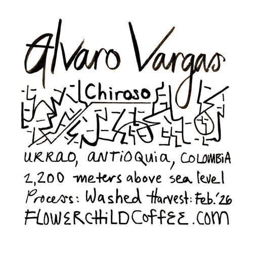 Flower Child Coffee - Alvaro Vargas - Chiroso | Colombia