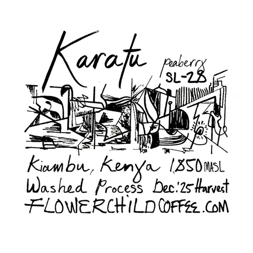 Flower Child Coffee - Karatu SL28 PB Washed | Kenya