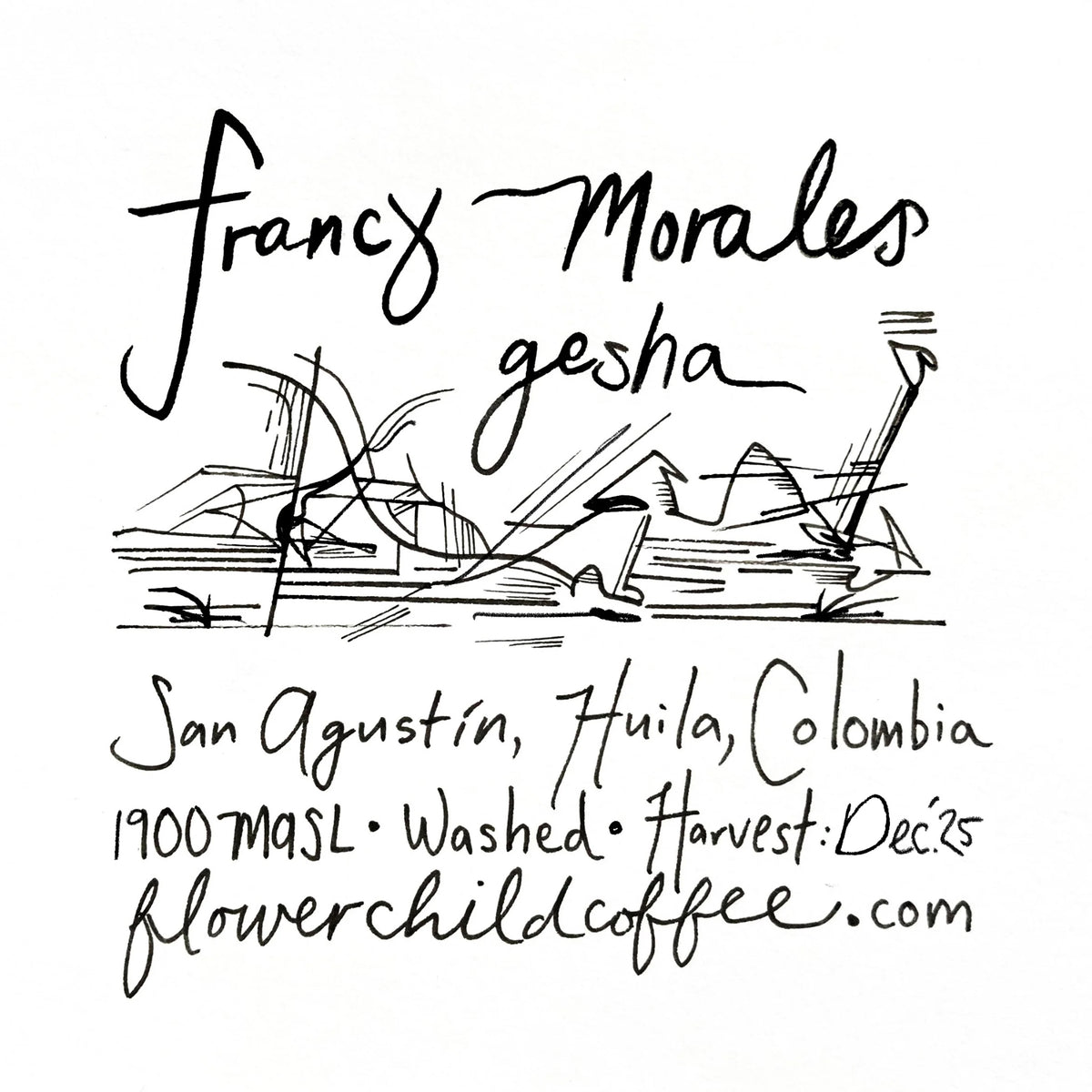 Flower Child Coffee - Francy Morales Washed Gesha | Colombia